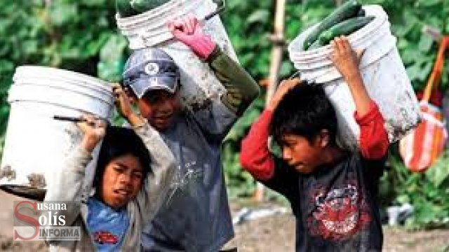 Susana Solis Informa Chiapas, Oaxaca y Puebla donde más infantes trabajan