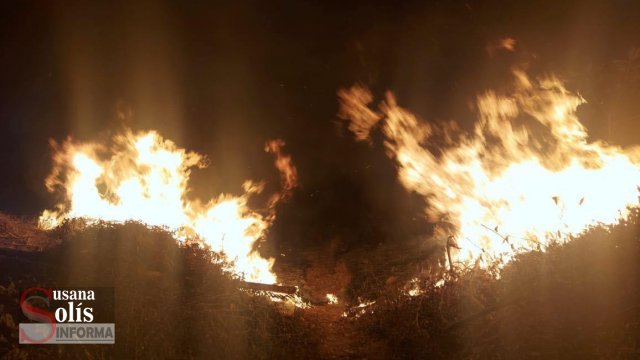 Susana Solis Informa 41 incendios en lotes baldíos por material pirotécnico