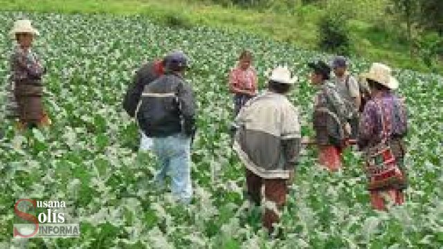 Susana Solis Informa NO CRECE Chiapas pero contiene la caída económica