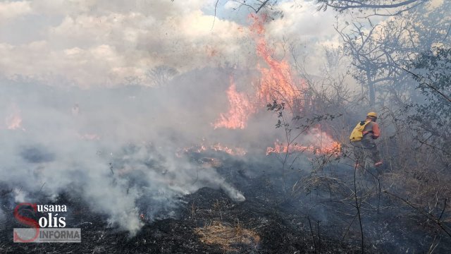 Susana Solis Informa CHIAPAS en semáforo rojo, por incendios forestales