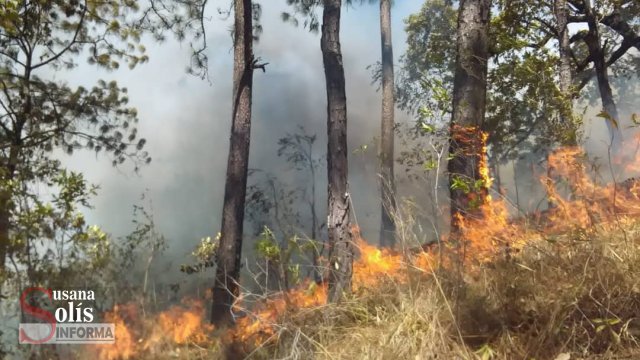 Susana Solis Informa CASI mil 500 hectáreas se han siniestrado por incendios forestales en Chiapas