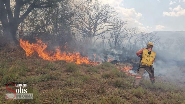 Susana Solis Informa Controlado el incendio intencional en predio colindante con fraccionamiento Real del Bosque