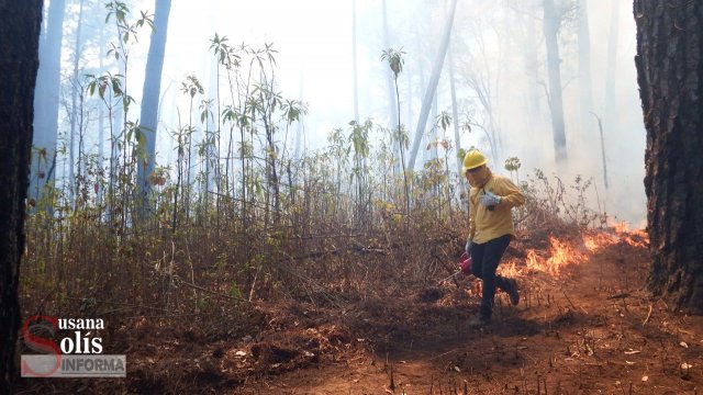 Susana Solis Informa INCENDIOS destruyen Áreas Naturales Protegidas