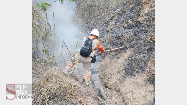 Susana Solis Informa COMBATEN 10 incendios forestales en Chiapas