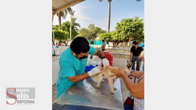 Susana Solis Informa Con acciones preventivas de vacunación y desparasitación en mascotas se abona al bienestar animal