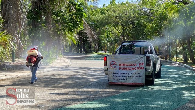 Susana Solis Informa Humedad ambiental y calor, factores en incremento de “Chaquistes” en Tuxtla Gutiérrez