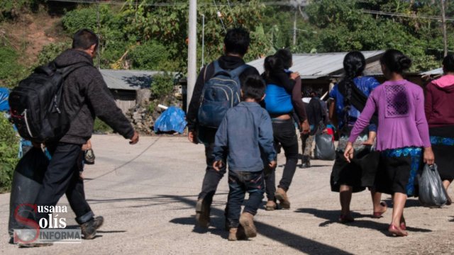 Susana Solis Informa MÁS del 30% de desplazados de Pantelhó son infantes: Melel Xojobal