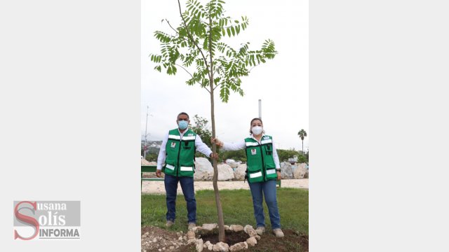 Susana Solis Informa Más de mil árboles plantados en el arranque del programa de reforestación municipal “Plantando Futuro”