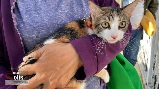 Susana Solis Informa Realizan tercera Macro Campaña de Esterilización en Plan de Ayala