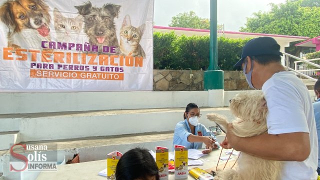Susana Solis Informa INICIA Mega Campaña de Esterilización gratuita en Tuxtla Gutiérrez