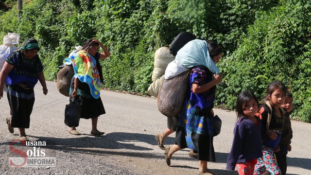 Susana Solis Informa REGISTRAN NUEVOS desplazamientos por violencia en Pantelhó