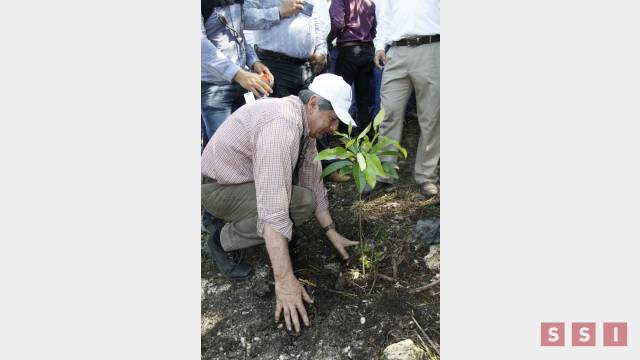 Susana Solis Informa Tuxtla Gutiérrez se suma al programa de reforestación estatal