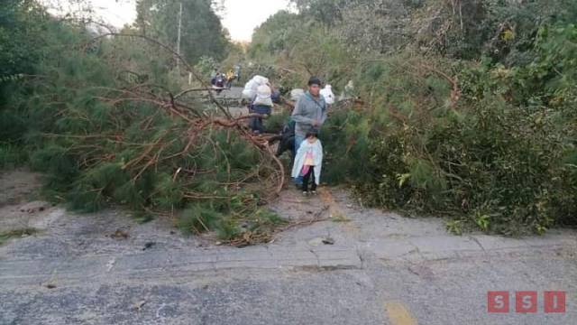 Susana Solis Informa DENUNCIAN empresarios desabasto de insumos a causa de bloqueos carreteros
