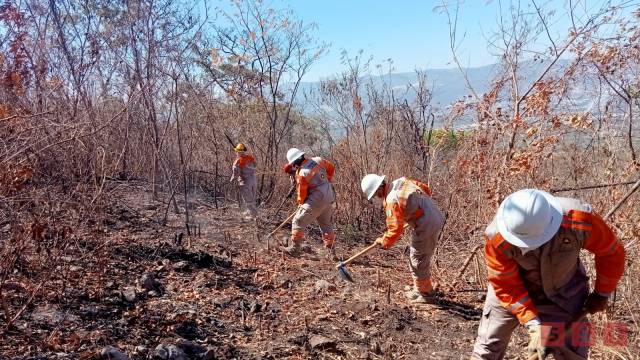 Susana Solis Informa PREPARAN brechas cortafuego como prevención en época de estiaje
