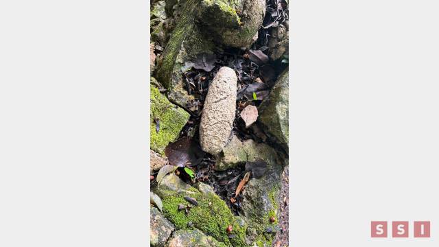 Susana Solis Informa LOCALIZAN pieza arqueológica relacionada a la vida cotidiana de las élites