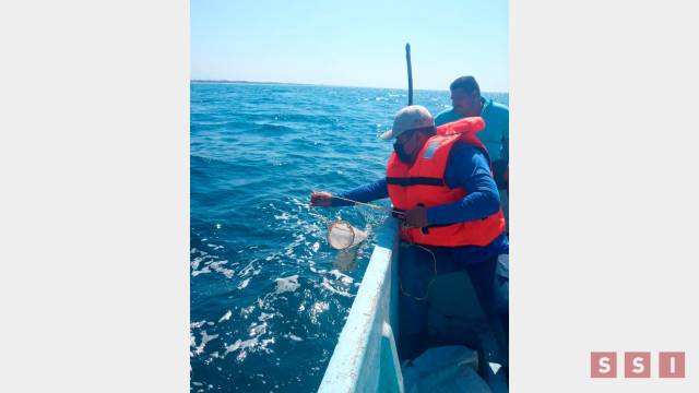 Susana Solis Informa DESCARTAN marea roja en la costa de Chiapas