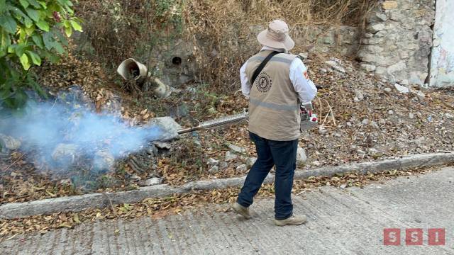 Susana Solis Informa Continúan acciones de prevención de enfermedades producidas por mosquitos en Tuxtla