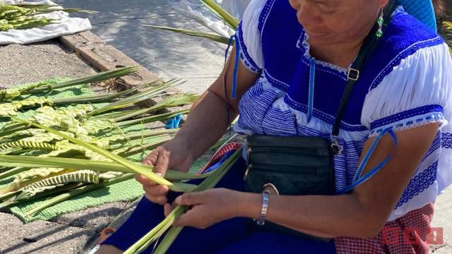 Susana Solis Informa BAJAS ventas de palmas en el Domingo de Ramos