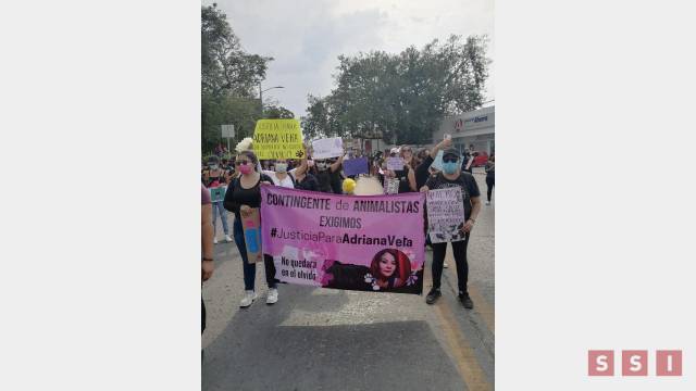 Susana Solis Informa MARCHAN mujeres contra violencia feminicida en el país