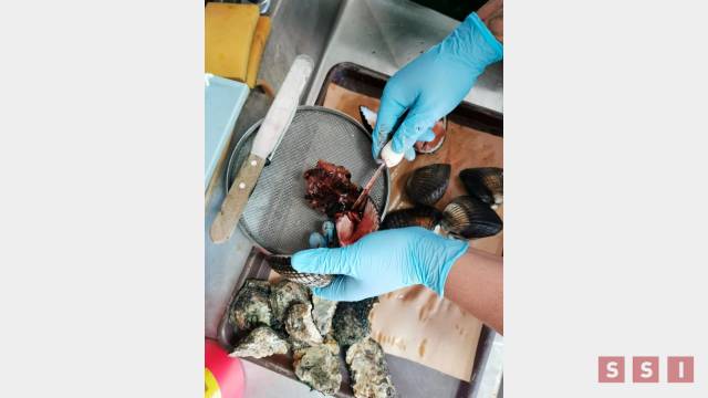 Susana Solis Informa SE MANTIENE veda sanitaria por marea roja en Puerto Madero