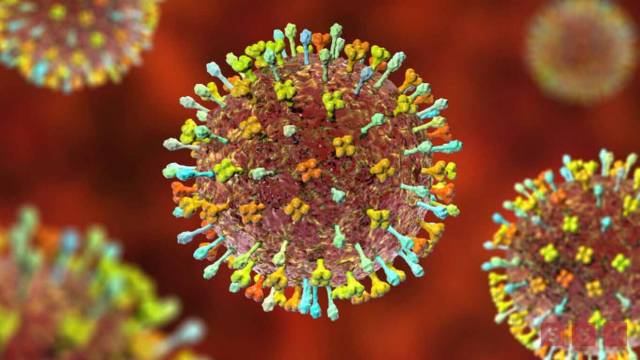 Susana Solis Informa Henipavirus, el nuevo virus identificado en China