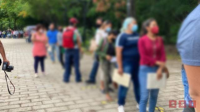 Susana Solis Informa Se pierden cerca de dos mil empleos formales en Chiapas