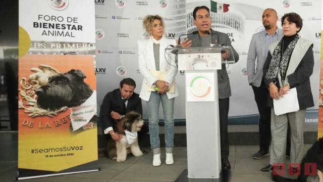 Susana Solis Informa El Senado de la República coloca la piedra angular para legislar en beneficio de los animales: Eduardo Ramírez