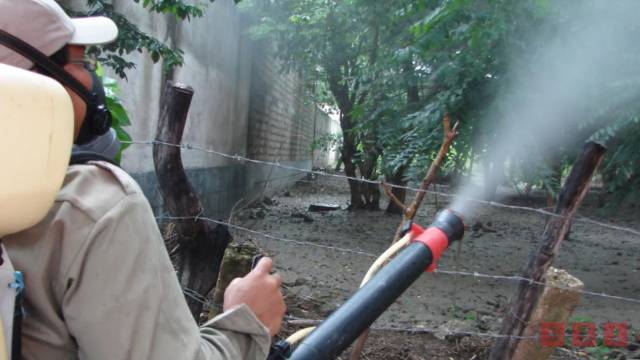 Susana Solis Informa Fumigarán por alta presencia de “chaquistes”