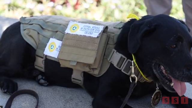 Susana Solis Informa Jubilan a canino de búsqueda y rescate de Protección Civil