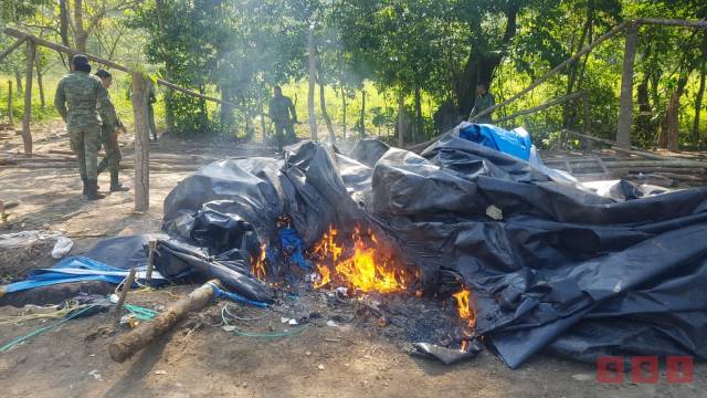 Susana Solis Informa DETIENEN a dos personas que cuidaban campamento donde albergaron a 400 migrantes