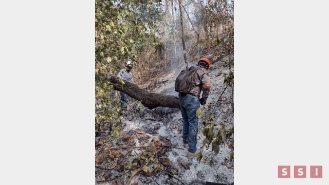 Susana Solis Informa MÁS DE 30 hectáreas se siniestran en el Cerro Mactumactzá por incendio forestal