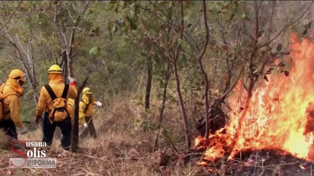 Susana Solis Informa DISMINUYE en un 30 por ciento los incendios en #Chiapas