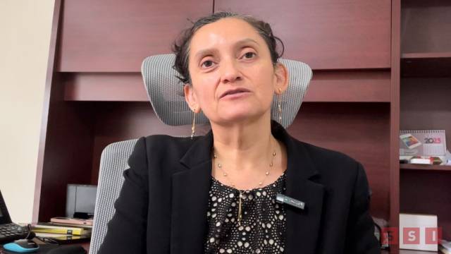 Susana Solis Informa “No es conveniente una elección del 2024 con un organismo electoral incompleto” INE