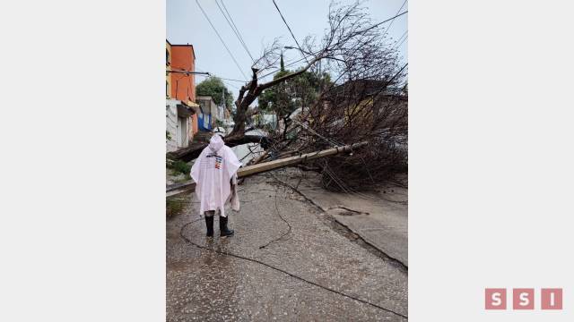 Susana Solis Informa Tromba y árboles caídos deja lluvia en Chiapas