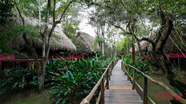 Susana Solis Informa CIERRAN más centros ecoturísticos en Chiapas