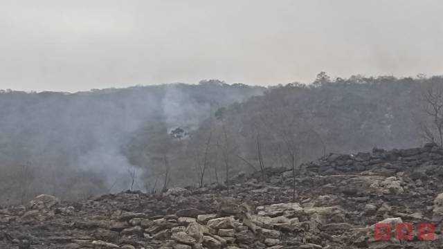 Susana Solis Informa MÁS DE 100 hectáreas se consumen en el Cañón del Sumidero