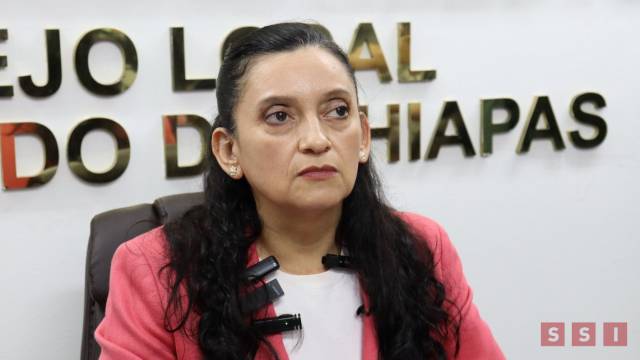 Susana Solis Informa ARRANCAN  campañas electorales; INE solicita garantías en municipios de Chiapas