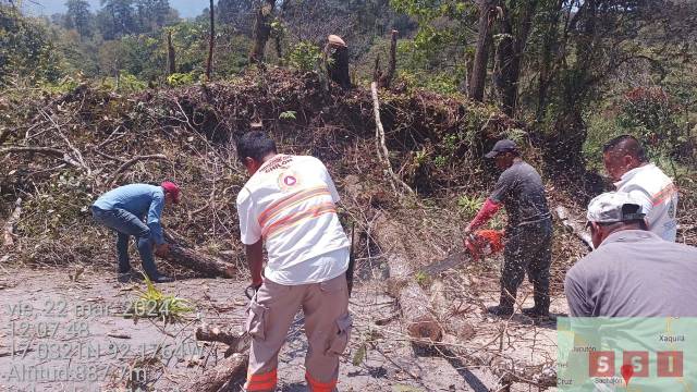 Susana Solis Informa POBLADORES derriban árbol y cae sobre un vehículo en tránsito