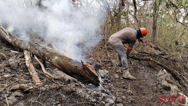 Susana Solis Informa AVANZA LIQUIDACIÓN de incendio en el Mactumactzá