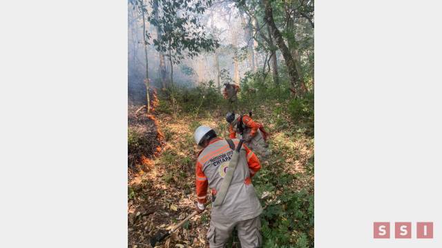 Susana Solis Informa COMBATEN más de mil incendios en lo que va del año