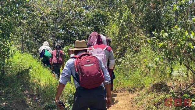 Susana Solis Informa CONTINÚA el desplazamiento forzado en Pantelhó por presencia de grupos armados