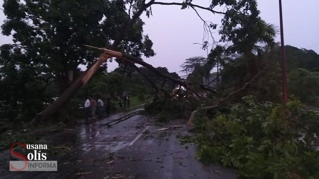 Susana Solis Informa DAÑOS a viviendas y caída de árboles dejó fuerte lluvia en #Tapachula