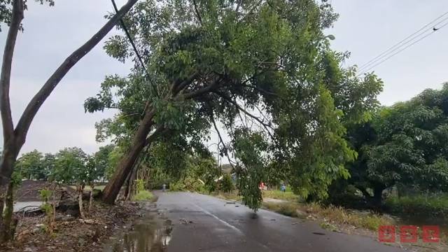 Susana Solis Informa LLUVIAS dejan sin luz a cientos de habitantes de Tapachula