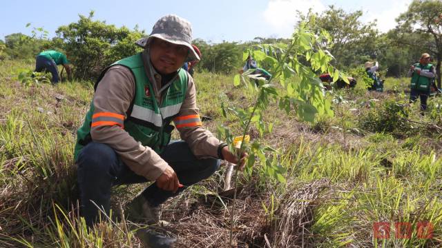 Susana Solis Informa Carlos Morales Vázquez Invita a la Reforestación para Mitigar el Cambio Climático
