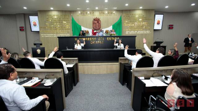 Susana Solis Informa LAS COMISIONES #JaqueConDama: Por Irma Ramírez Molina