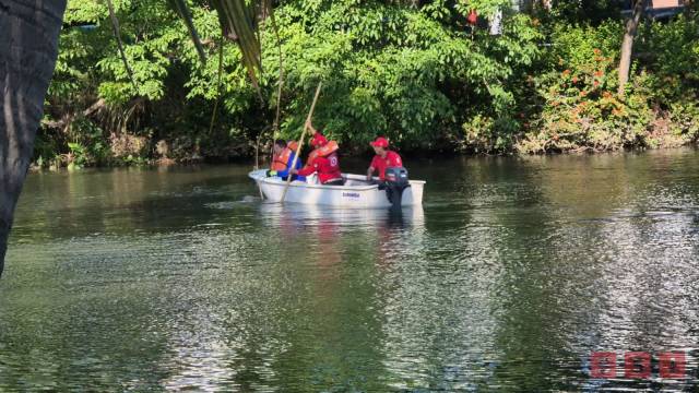 Susana Solis Informa ATACA Y MATA cocodrilo a chiapaneco en laguna de Tabasco