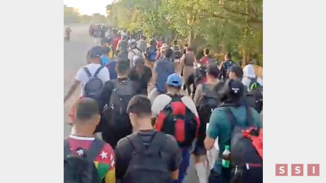 Susana Solis Informa AVANZA caravana migrante; INM pretendía detenerla