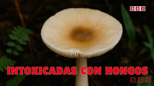 Susana Solis Informa INFANTES se intoxican con hongos venenosos en Chiapas