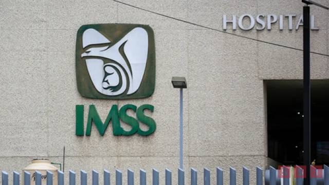 Susana Solis Informa Disminuye el número de afiliados al IMSS en Chiapas