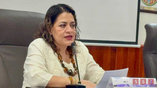 Susana Solis Informa IEPC revisa denuncias y casos de violencia política de género
